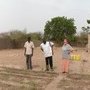 Panoramique du potager